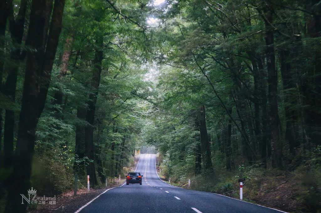 定了！新西兰7月起开征“旅游税”！这个被《哈利波特》《碟中谍》选中的地方到底有多好玩
