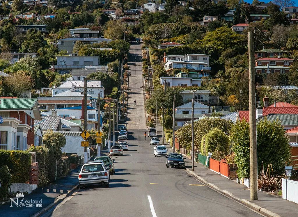 定了！新西兰7月起开征“旅游税”！这个被《哈利波特》《碟中谍》选中的地方到底有多好玩