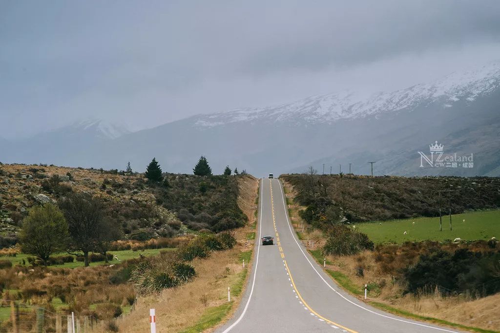 定了！新西兰7月起开征“旅游税”！这个被《哈利波特》《碟中谍》选中的地方到底有多好玩
