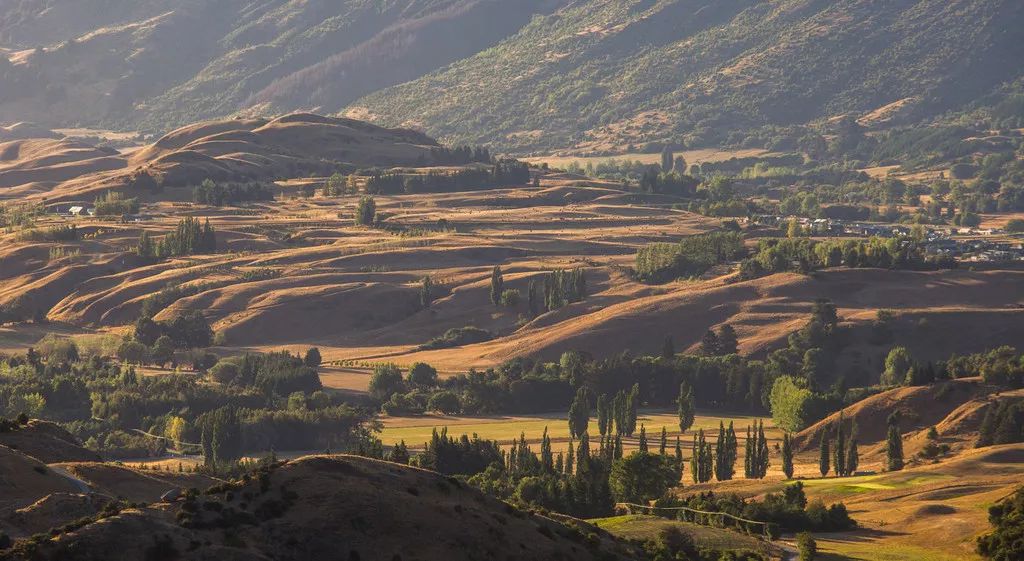 定了！新西兰7月起开征“旅游税”！这个被《哈利波特》《碟中谍》选中的地方到底有多好玩