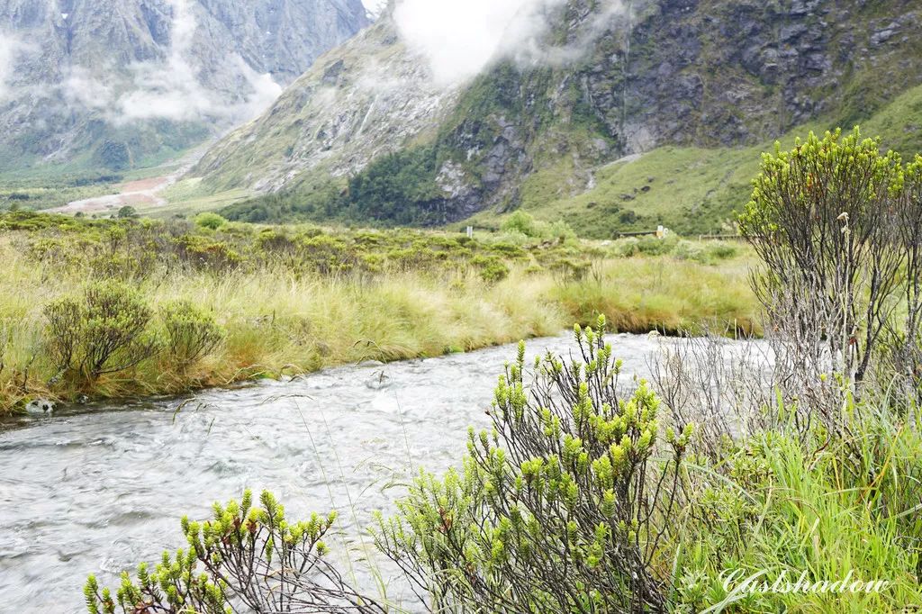 定了！新西兰7月起开征“旅游税”！这个被《哈利波特》《碟中谍》选中的地方到底有多好玩