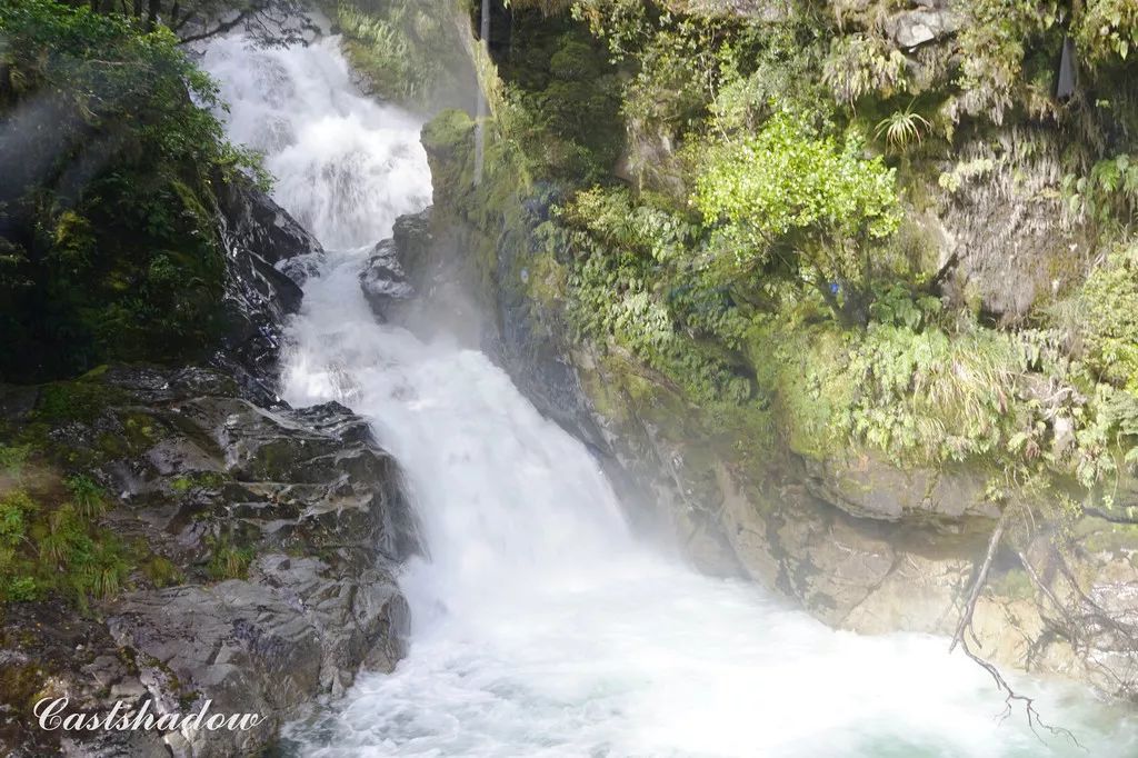 定了！新西兰7月起开征“旅游税”！这个被《哈利波特》《碟中谍》选中的地方到底有多好玩