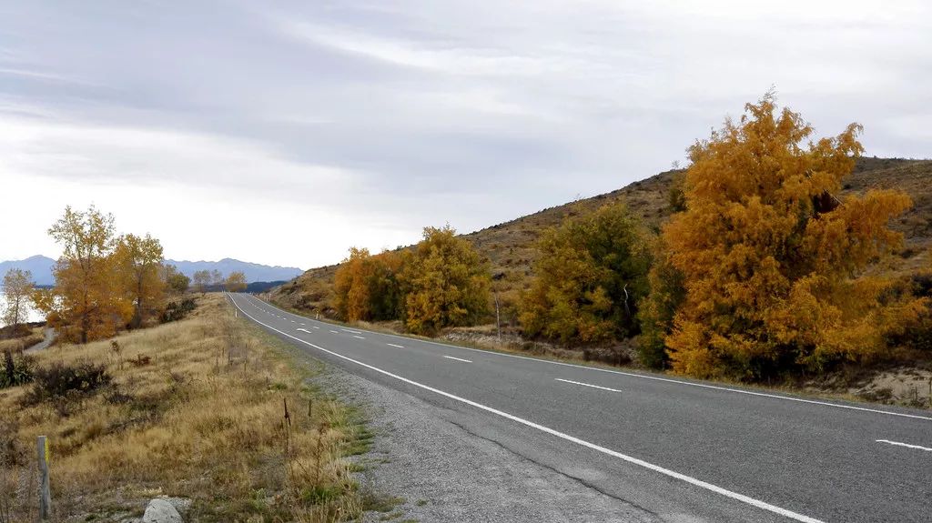 定了！新西兰7月起开征“旅游税”！这个被《哈利波特》《碟中谍》选中的地方到底有多好玩
