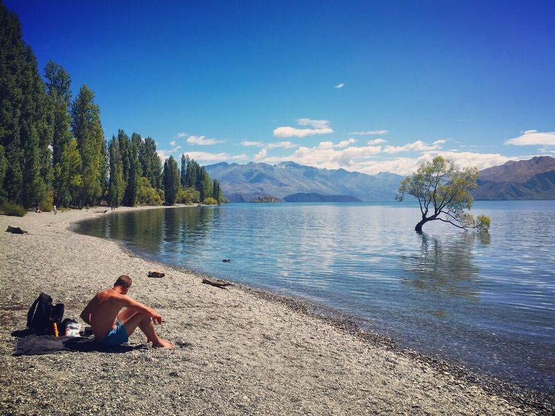 定了！新西兰7月起开征“旅游税”！这个被《哈利波特》《碟中谍》选中的地方到底有多好玩