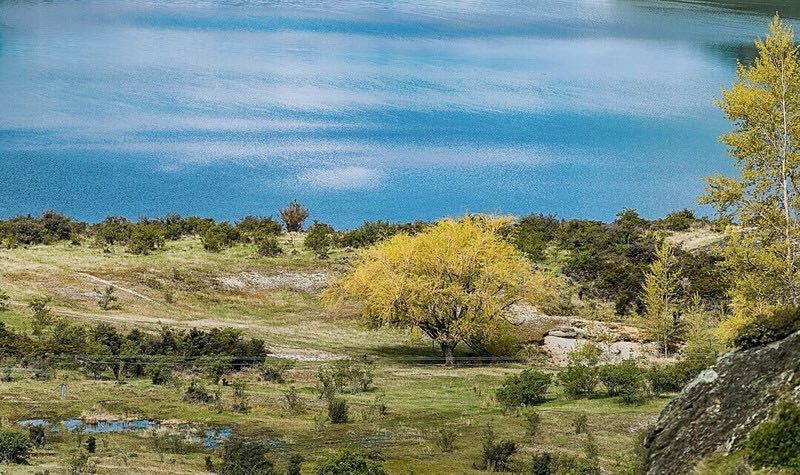 定了！新西兰7月起开征“旅游税”！这个被《哈利波特》《碟中谍》选中的地方到底有多好玩