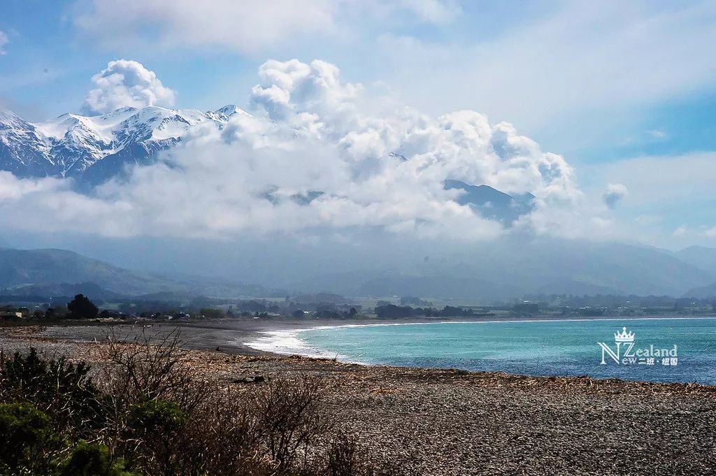 定了！新西兰7月起开征“旅游税”！这个被《哈利波特》《碟中谍》选中的地方到底有多好玩