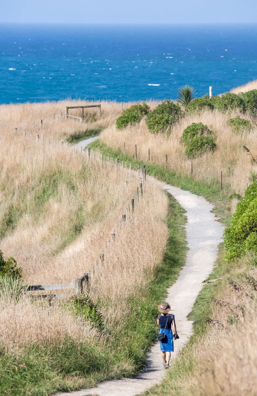 定了！新西兰7月起开征“旅游税”！这个被《哈利波特》《碟中谍》选中的地方到底有多好玩