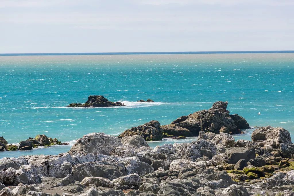 定了！新西兰7月起开征“旅游税”！这个被《哈利波特》《碟中谍》选中的地方到底有多好玩