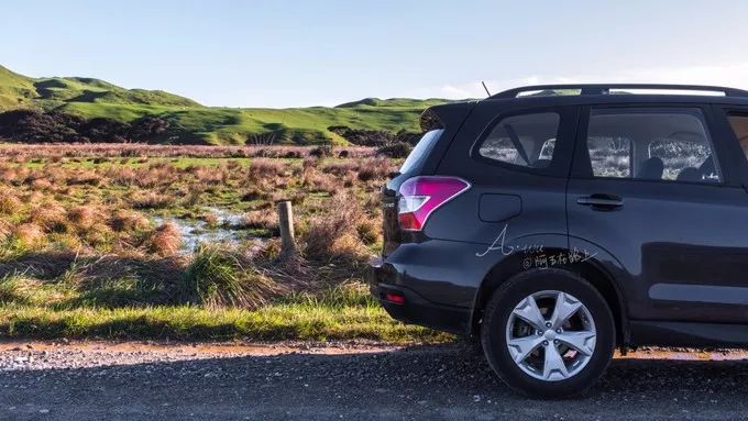 定了！新西兰7月起开征“旅游税”！这个被《哈利波特》《碟中谍》选中的地方到底有多好玩