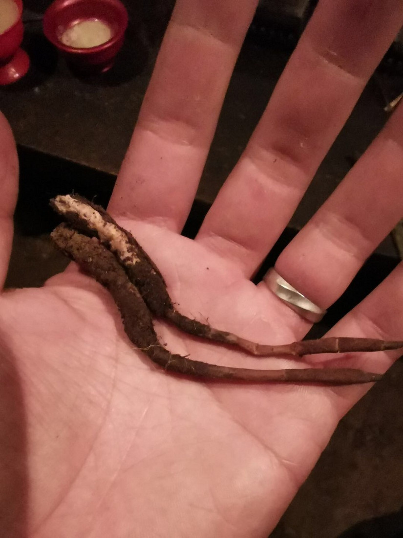 我的最后一站——念青东6天波密穿洛隆