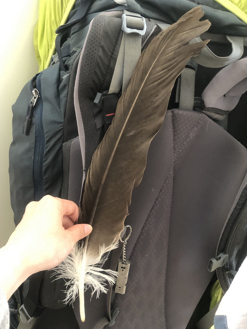 我的最后一站——念青东6天波密穿洛隆