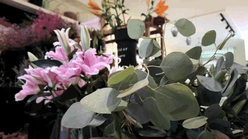 向水果捞势力低头!丹东这个夏天的甜蜜指数++++++++++