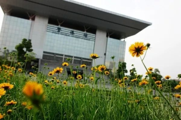 献上一篇8年前的毕业感悟