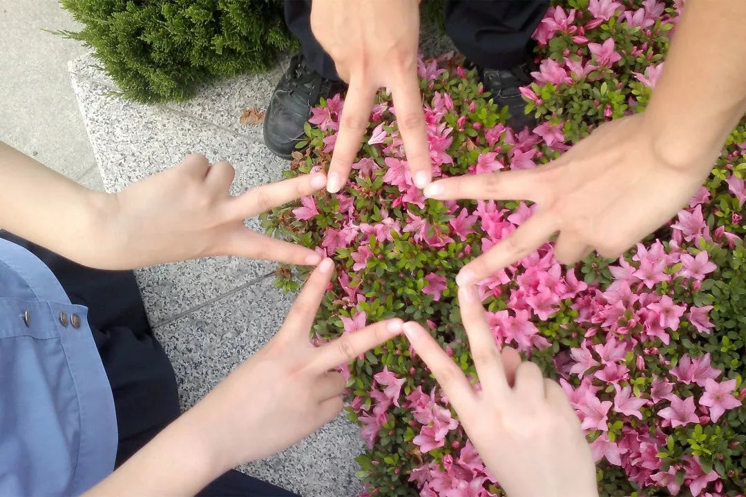 献上一篇8年前的毕业感悟