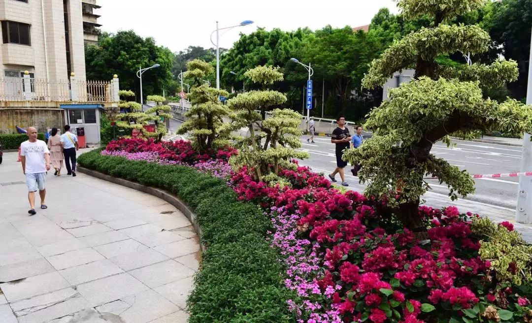 华丽升级,厦禾路哪一年改造