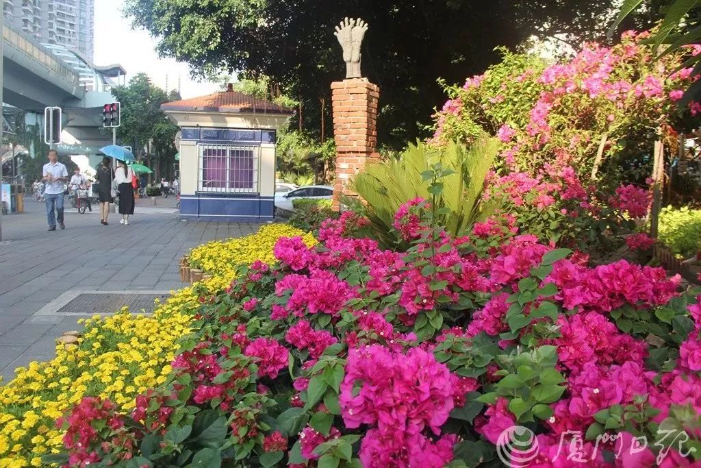 华丽升级,厦禾路哪一年改造