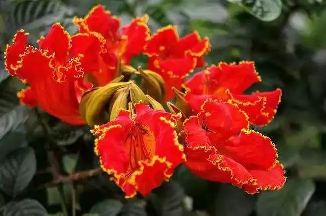 华丽升级,厦禾路哪一年改造