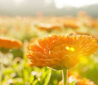 最有效的修复膏,市面好用的修复膏