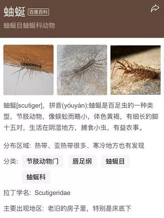 浙江怪异虫子,浙江渔民捕获怪物鱼