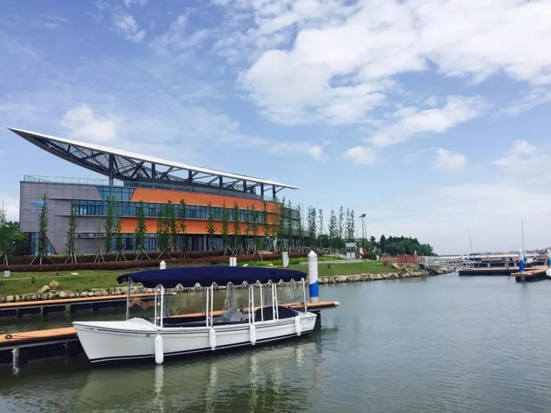 魔都新晋网红打卡地龙华会,魔都十六个网红打卡地方在哪