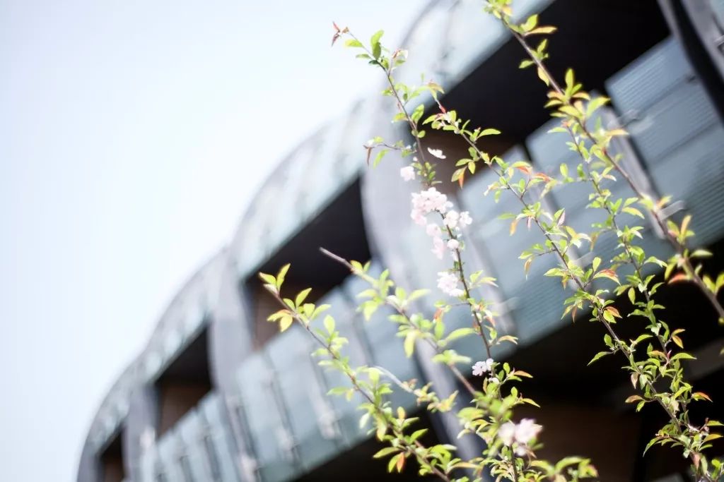 魔都新晋网红打卡地龙华会,魔都十六个网红打卡地方在哪