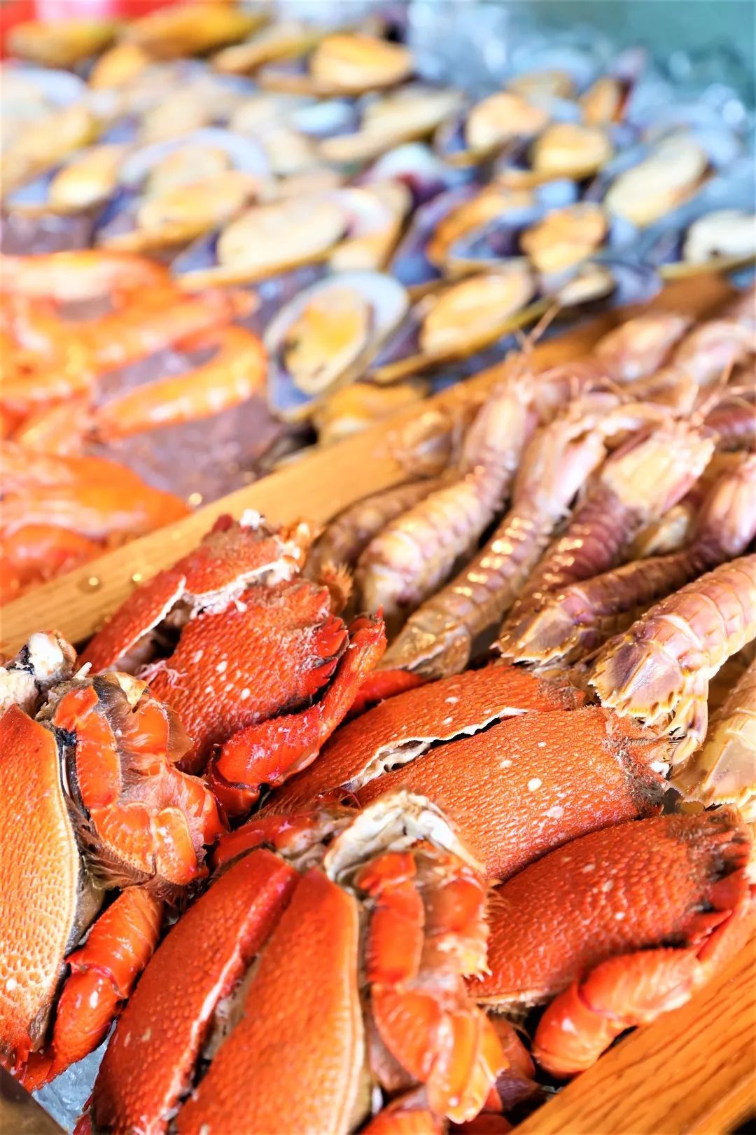 魔都新晋网红打卡地龙华会,魔都十六个网红打卡地方在哪