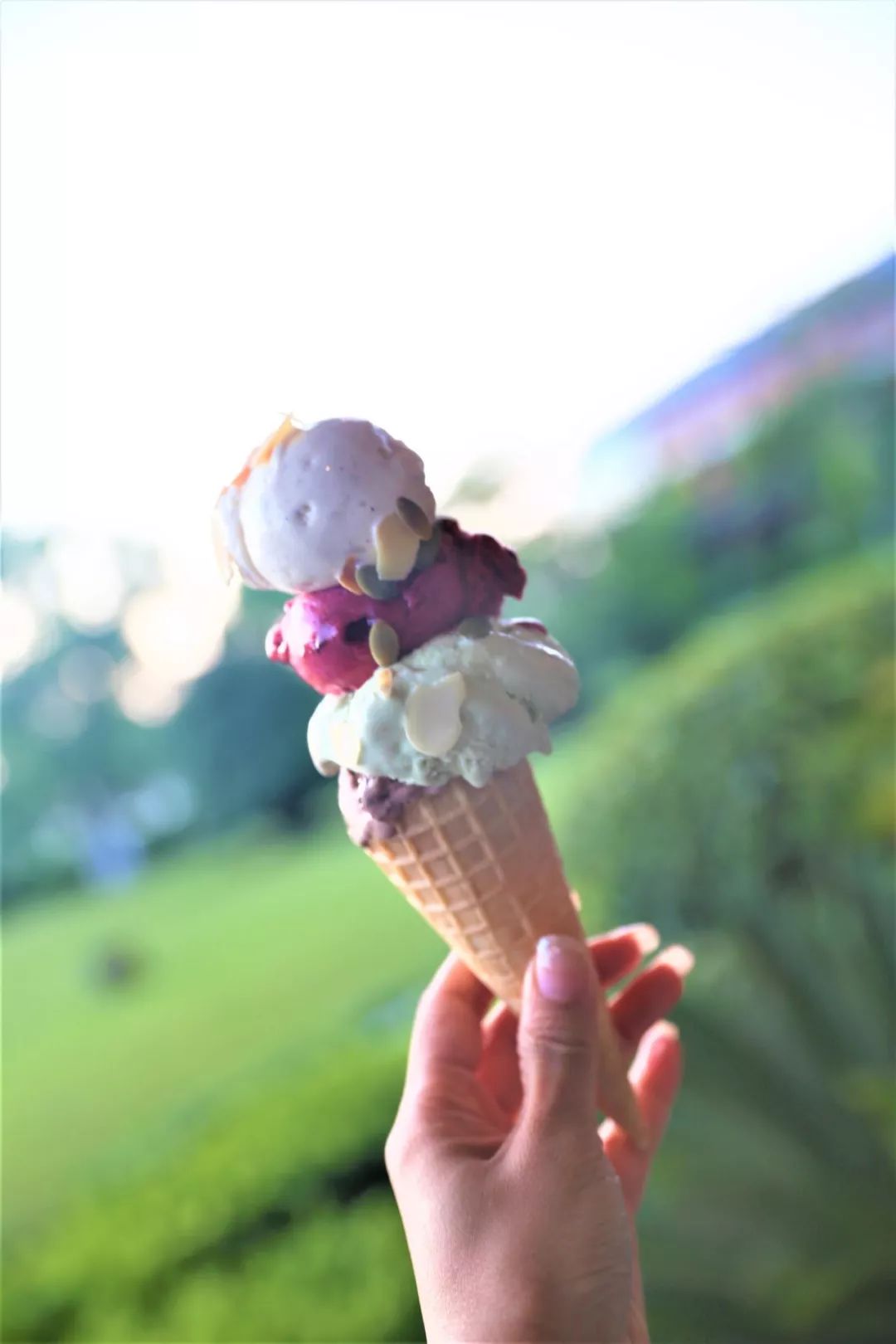 魔都新晋网红打卡地龙华会,魔都十六个网红打卡地方在哪