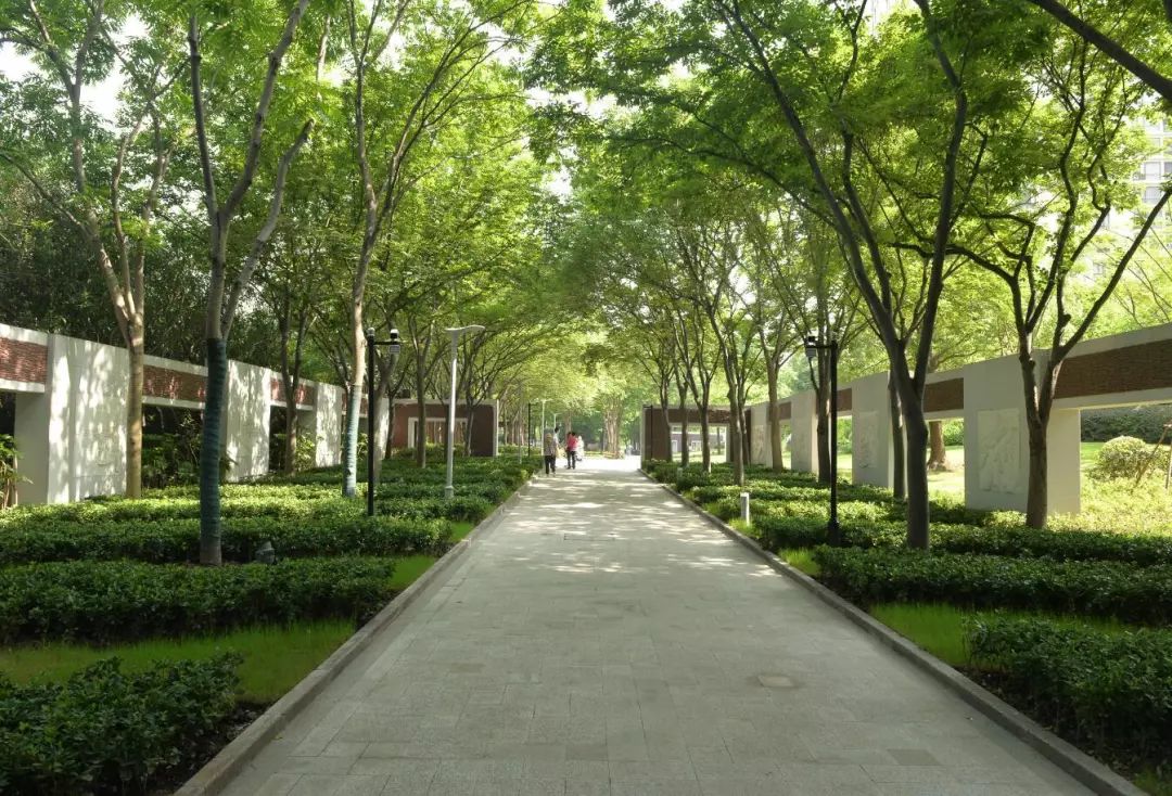 虹桥河滨公园门票多少钱,虹桥河滨公园最新消息