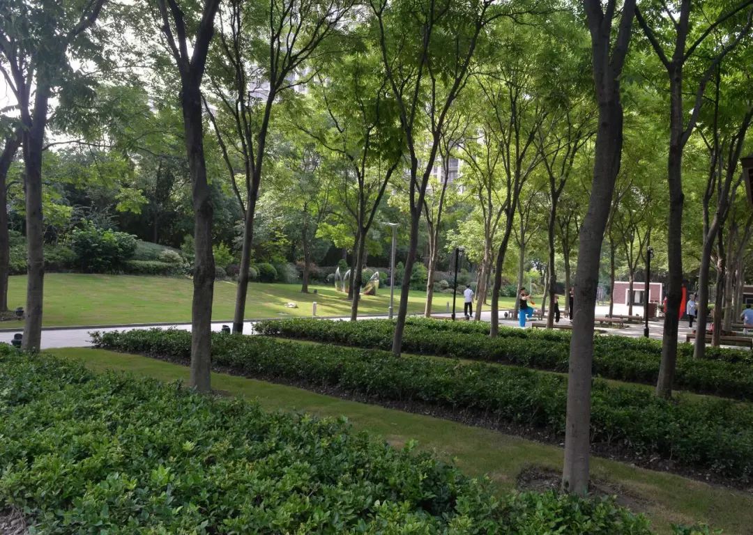 虹桥河滨公园门票多少钱,虹桥河滨公园最新消息