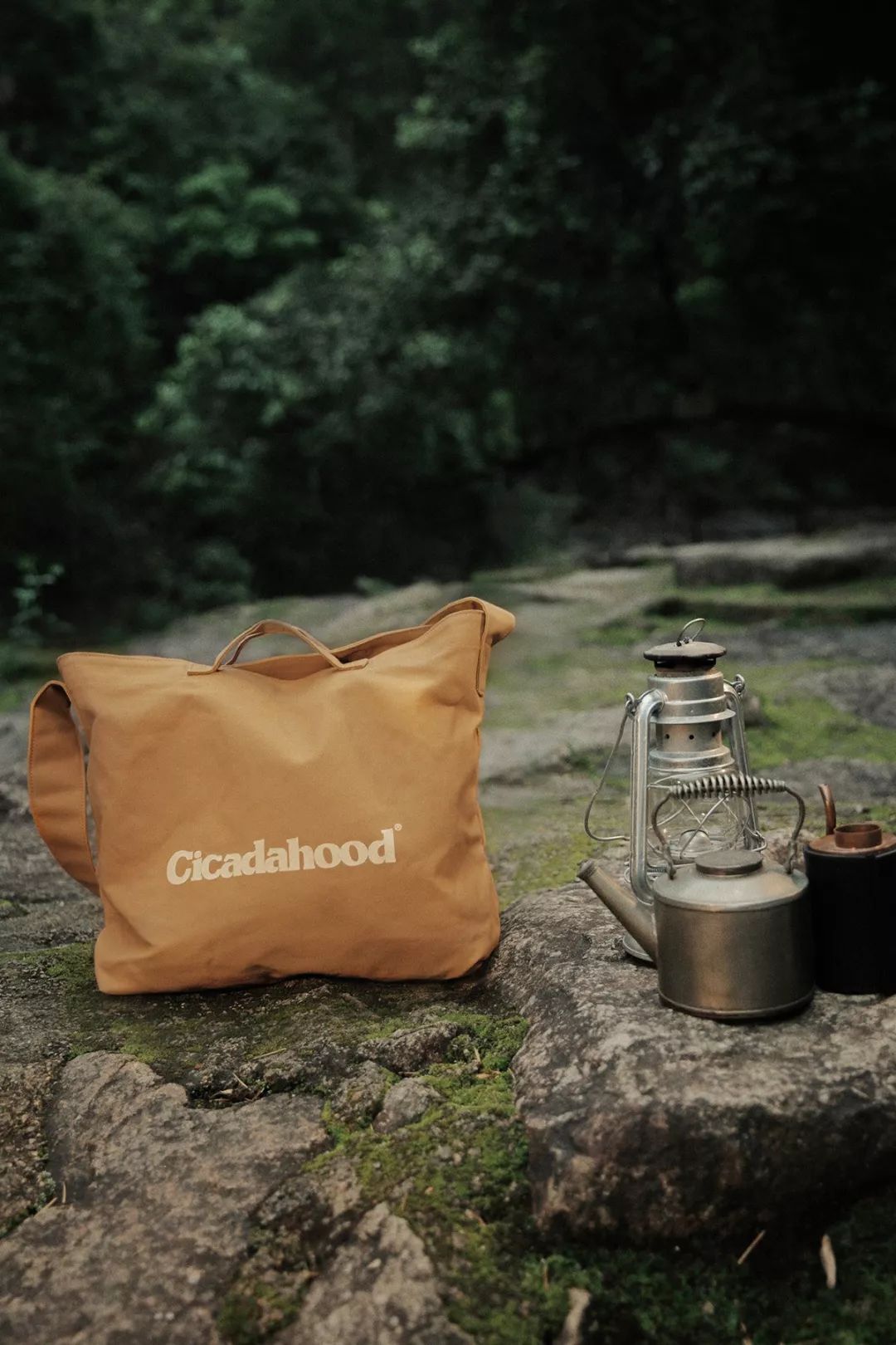 透支信用卡的女孩子,透支买奢侈品的女人