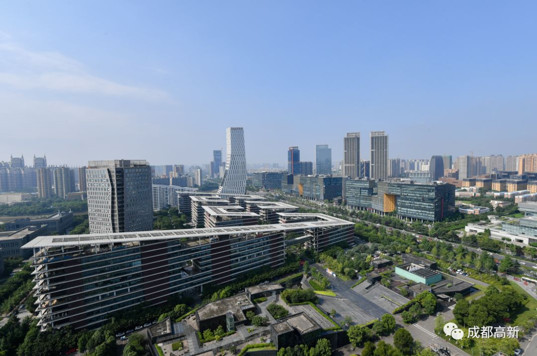 成马赛道,成马赛道的风景