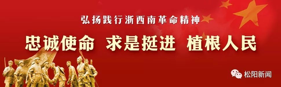 去除甲醛的绿植排行榜,去除甲醛最有效的绿植