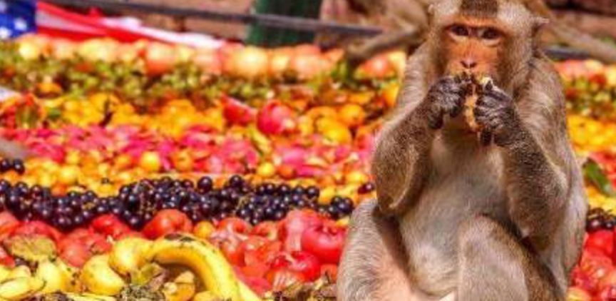 王宝强泰国视频,王宝强泰国片段