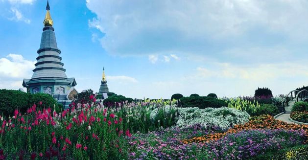 王宝强泰国视频,王宝强泰国片段