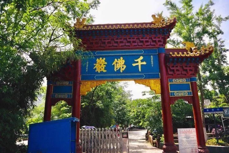 打卡！这才是外地人眼中的夹江