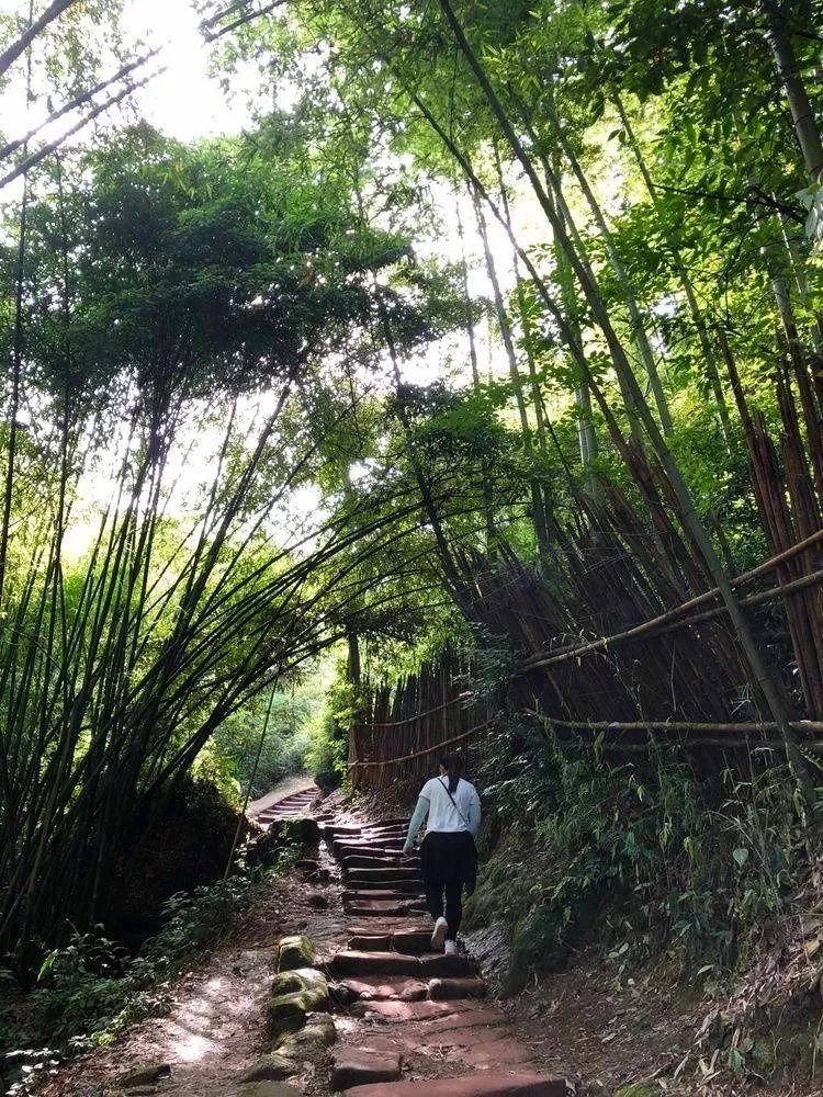 打卡！这才是外地人眼中的夹江