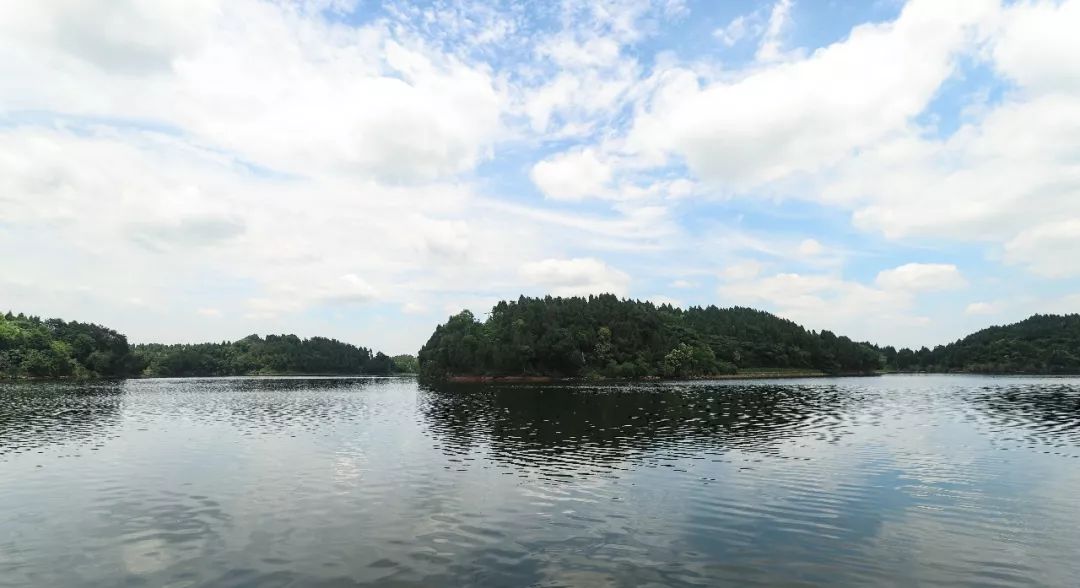 聚焦|老龙乡化怨气聚喜气走出不一样的乡村振兴路！