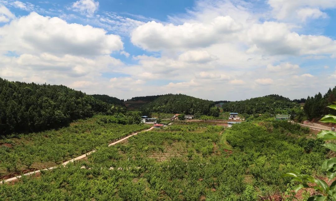 聚焦|老龙乡化怨气聚喜气走出不一样的乡村振兴路！