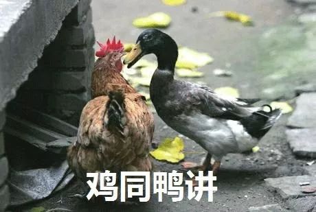 鸡的什么部位不能吃?它到底有多毒,很多人还不知道