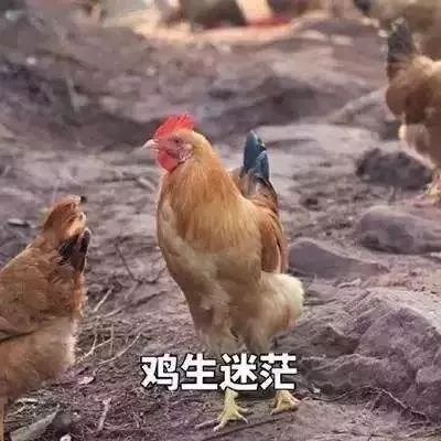 鸡的什么部位不能吃?它到底有多毒,很多人还不知道