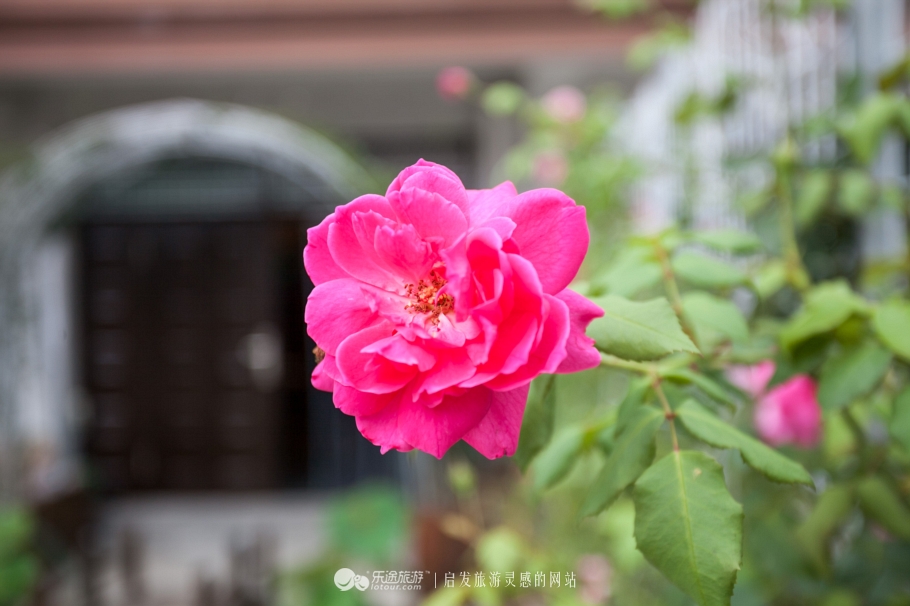 宁波的九龙湖,宁波九龙湖