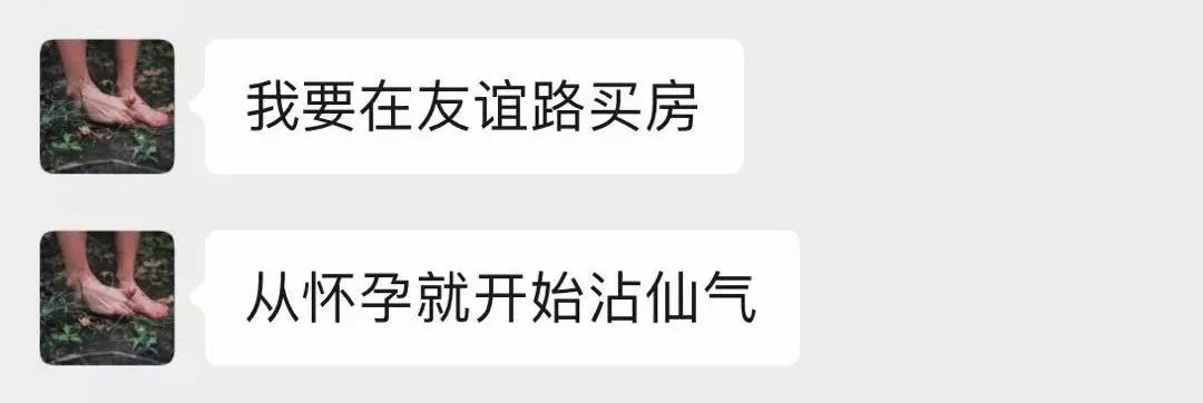 西安碑林区友谊路,西安最美街道友谊路