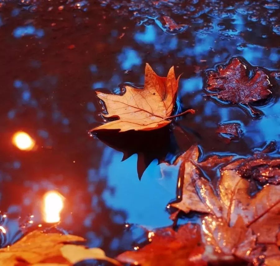 西安碑林区友谊路,西安最美街道友谊路