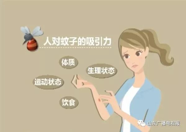 蚊子爱咬吃甜食的人吗,夏天蚊子咬人跟血型有什么关系吗