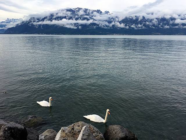 法意瑞15日自由行,执子之手与子偕老艺术写法