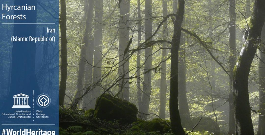 世界遗产大会正在进行时,哪些海外宝地被列入《世界遗产名录》?