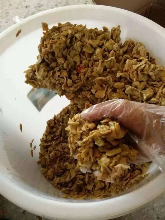 正宗博白芋苗,博白芋苗多少钱一斤