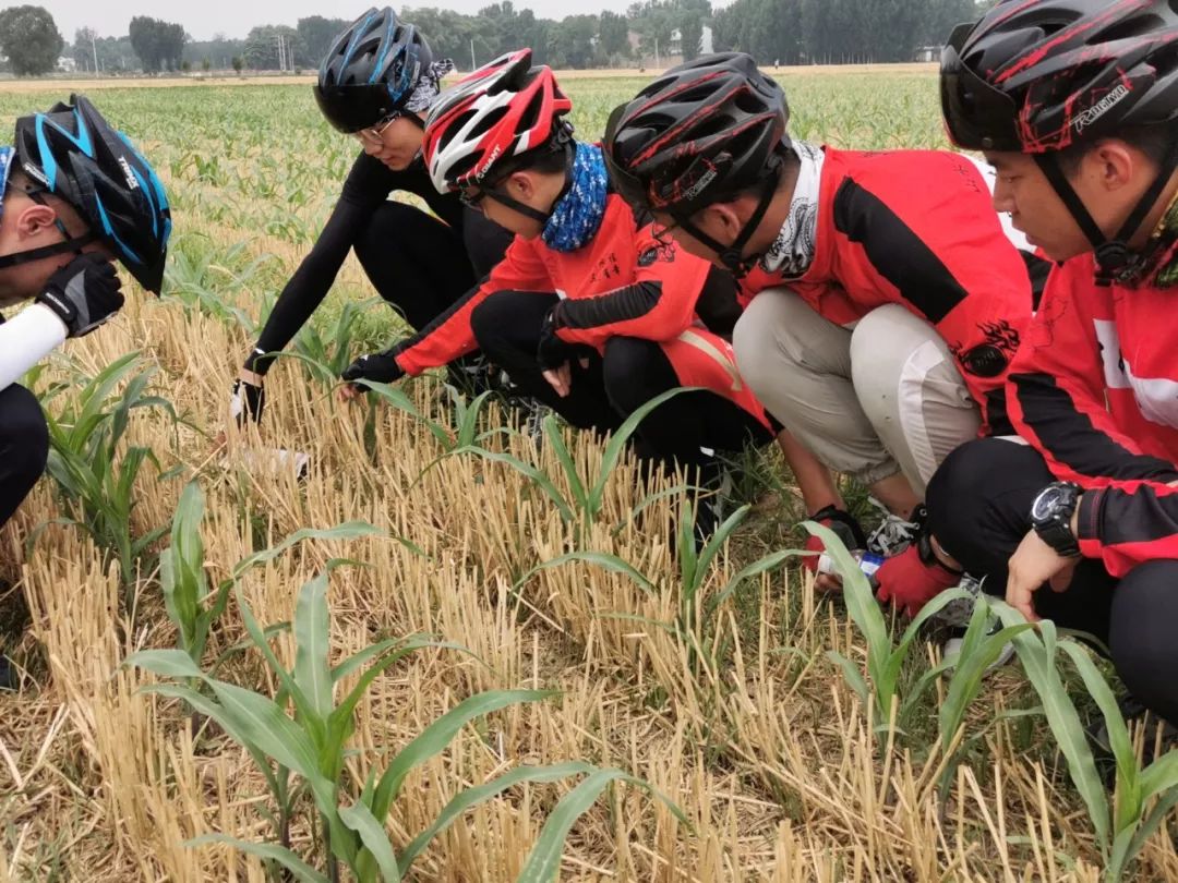 一起骑车去上海：1800公里的毕业季