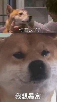 “炒股吗？‘专家老师’指导您！”湘潭人接到了这个电话怎么办......