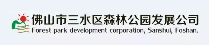 广东五人足球联赛,广东佛山五人足球联赛